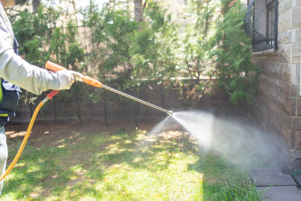 Best Spider Control Near Me  in Pocahontas, IA